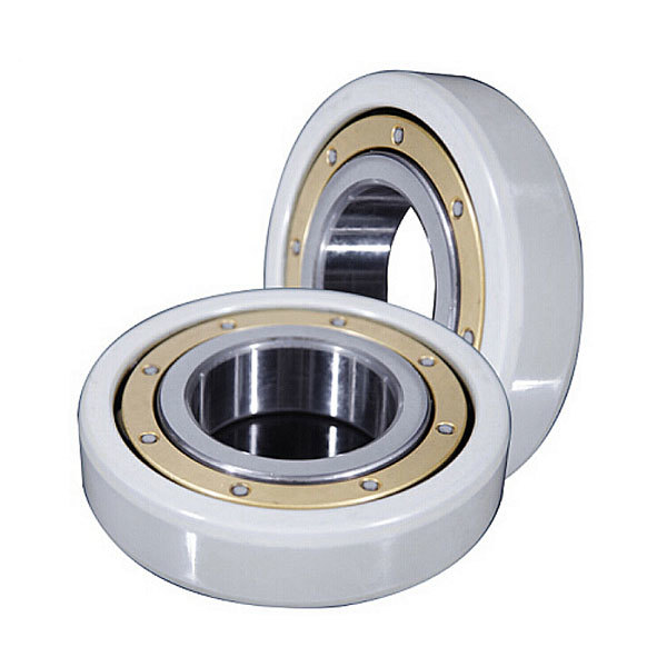 Insulated Bearings